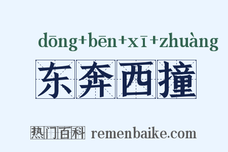 东奔西撞是什么意思的图片